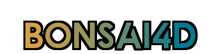 BONSAI4D Logo